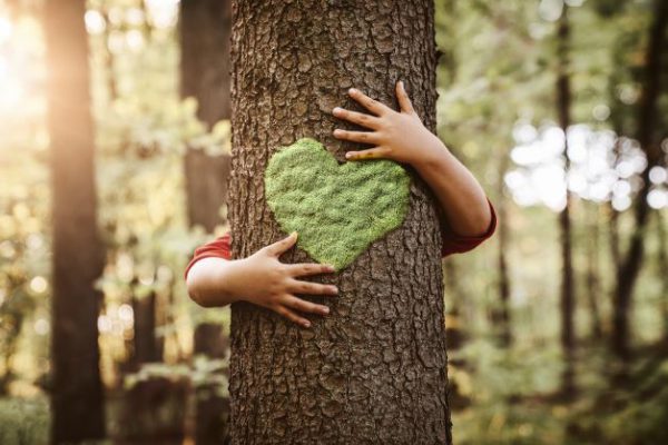 Baum mit grünem Herz wird von Kinderhänden umarmt
